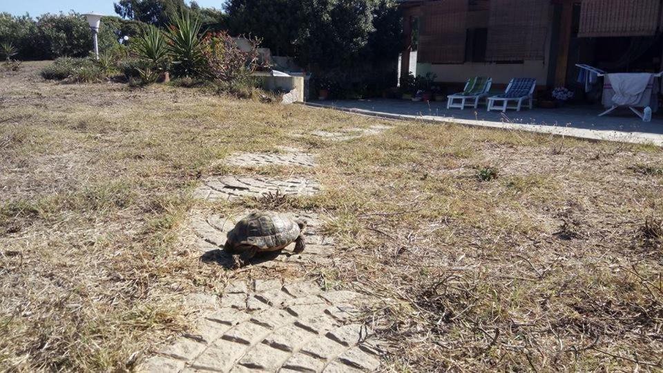 Eco Affittacamere Casa Maica Eco Guesthouse Stintino Bagian luar foto