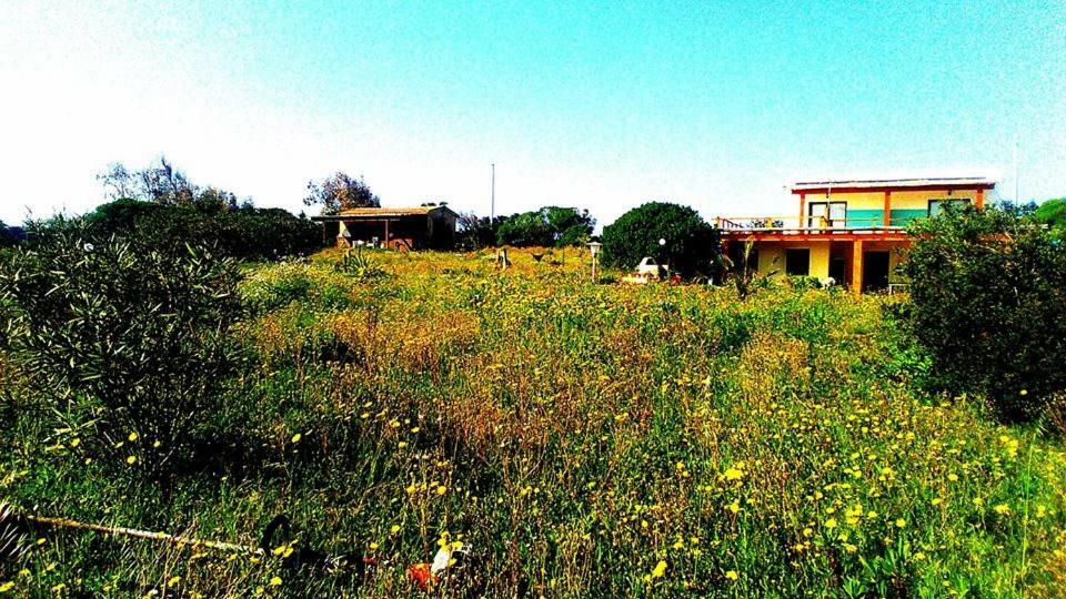 Eco Affittacamere Casa Maica Eco Guesthouse Stintino Bagian luar foto